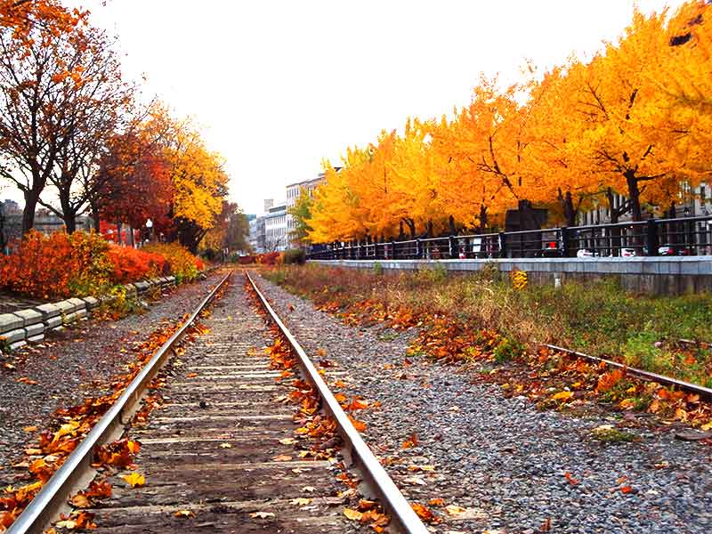 train tracks