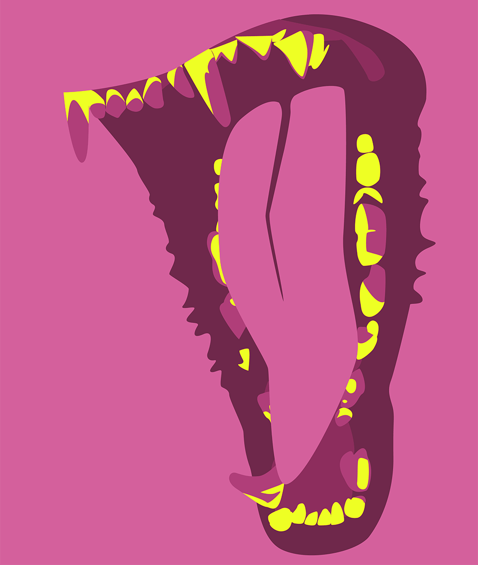 a static version of the graphic. a simple colorful image of a wolf's teeth