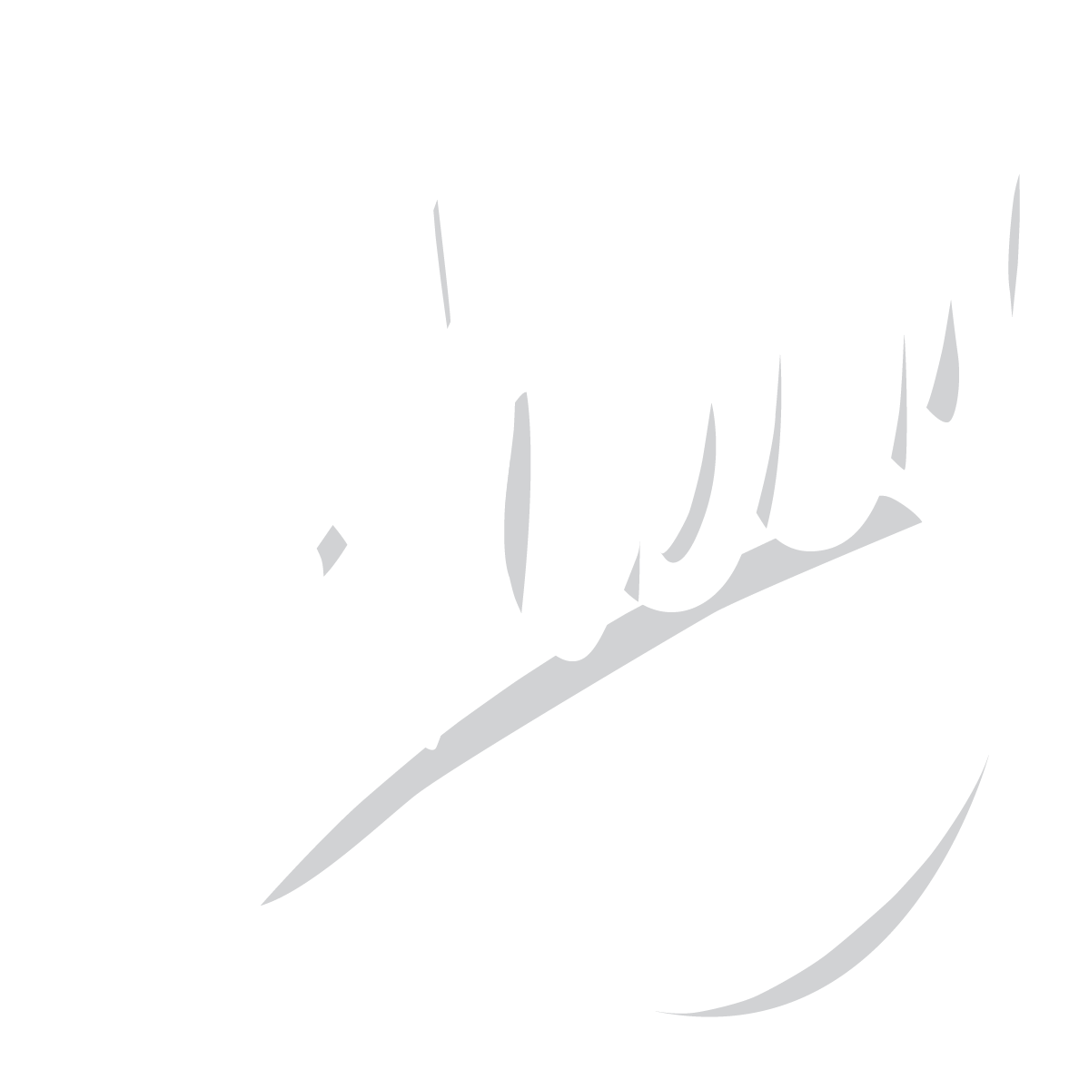 img/shay-swing-logo.png