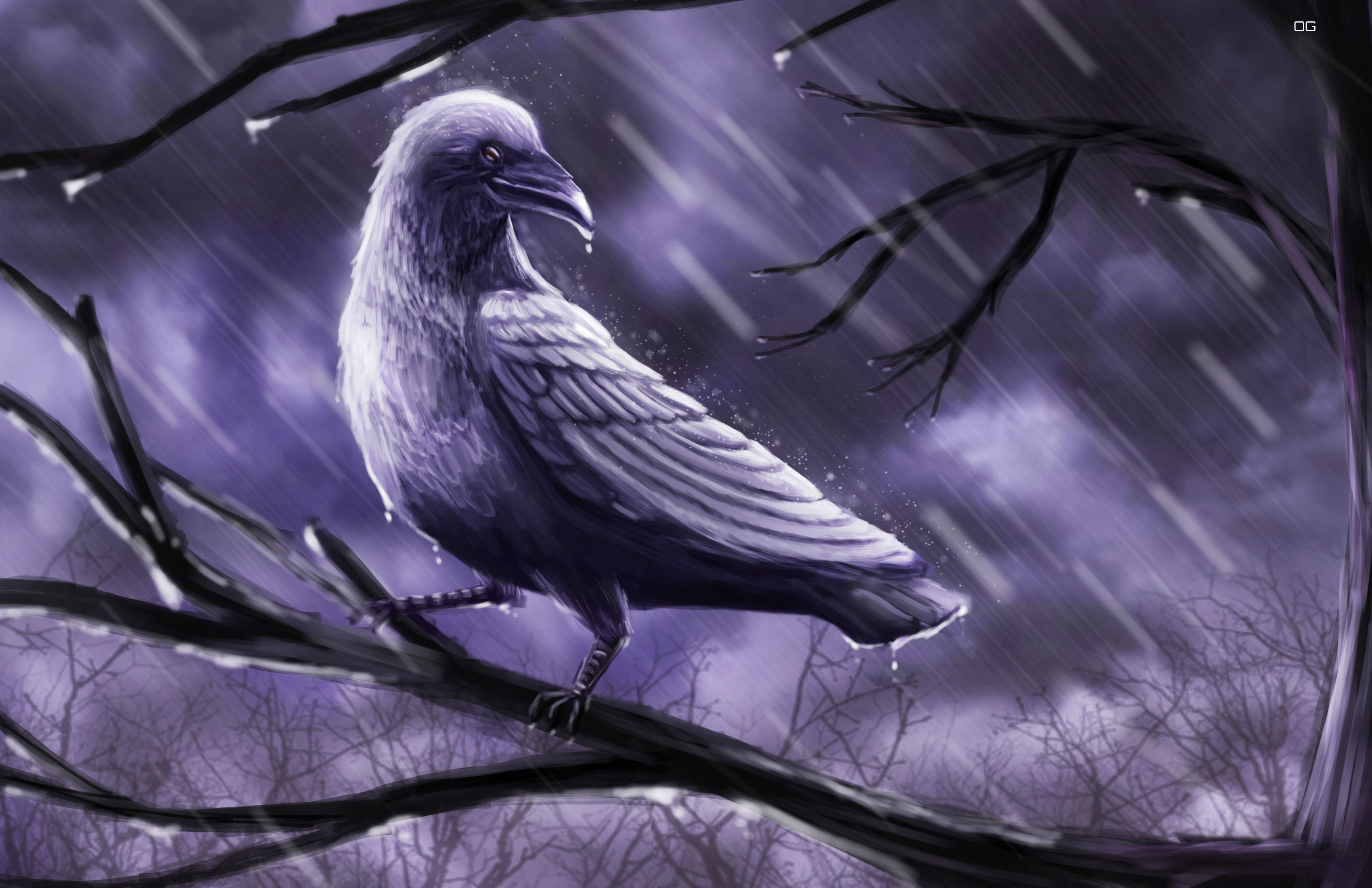 Crow book Illustration
  
  <p>CONCEPT: Illustrate a painting of a crow for a story. The crow must be in a stressful environment, but yet show confidence and bravery.</p>
  <p>HOW DESIGN SOLVES PROBLEMS,: I illustrated the storm to suggest a dark gloomy mood and bright lights that relates to lightning and to help reveal the crow better.</p>
  <p>PROCESS: research/ sketch and refine</p>
  <p>TOOLS USED: Photoshop</p>
  <p>CHALLENGES:  Understanding the anatomy of a crow, and what differentiates them from other birds such as ravens. </p>
  