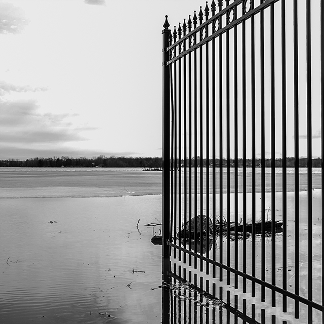 Flooded Fence