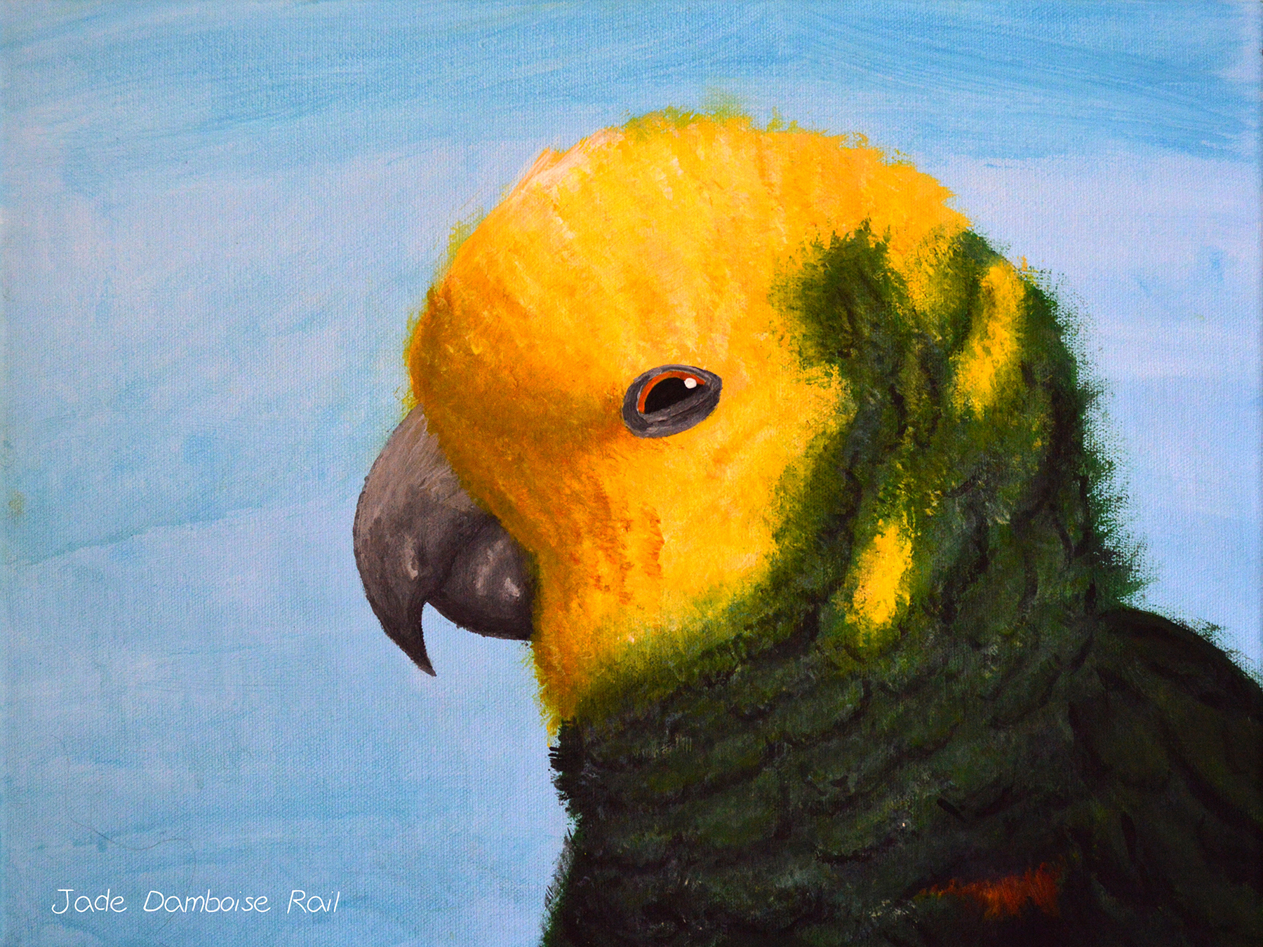 Cute painting of a yellow headed amazon