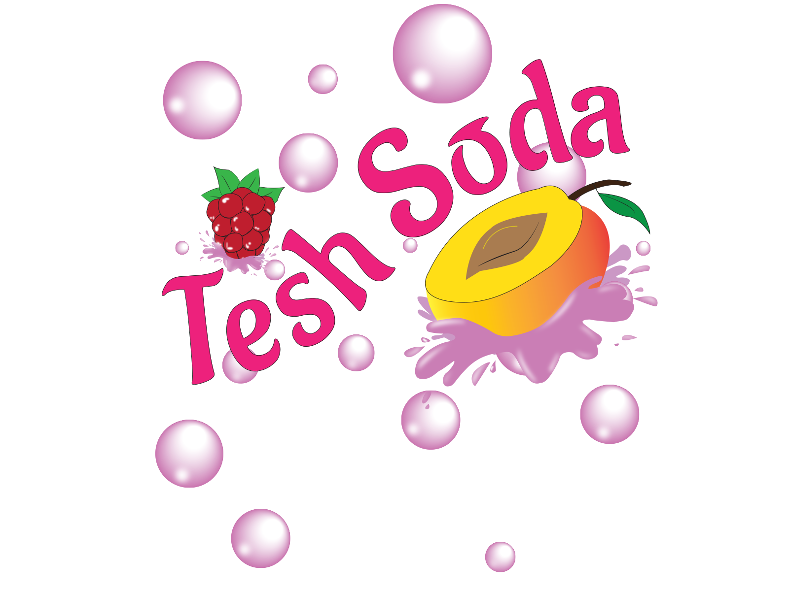 TeshSoda, Bottle, Branding, Design, New, Scratch, Fruit, Themed, Flavour, Logo, designer, Creation, Apricot, Raspberry, Mix, Project