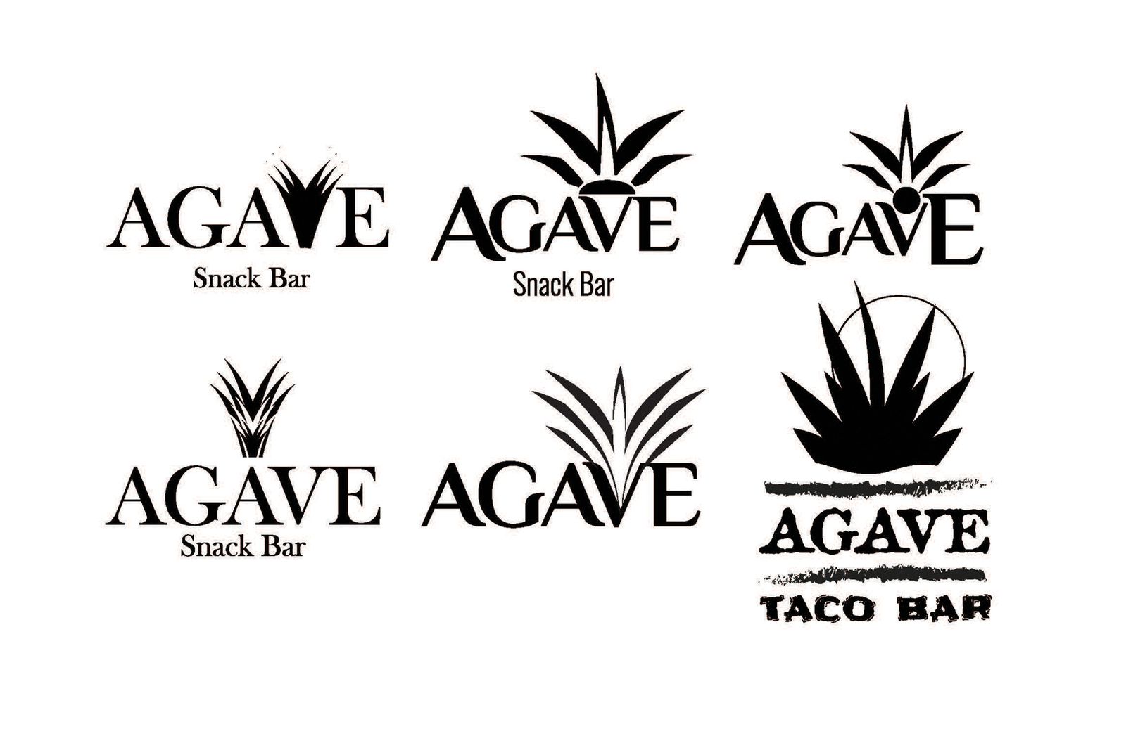 Sketches for the logo Agave