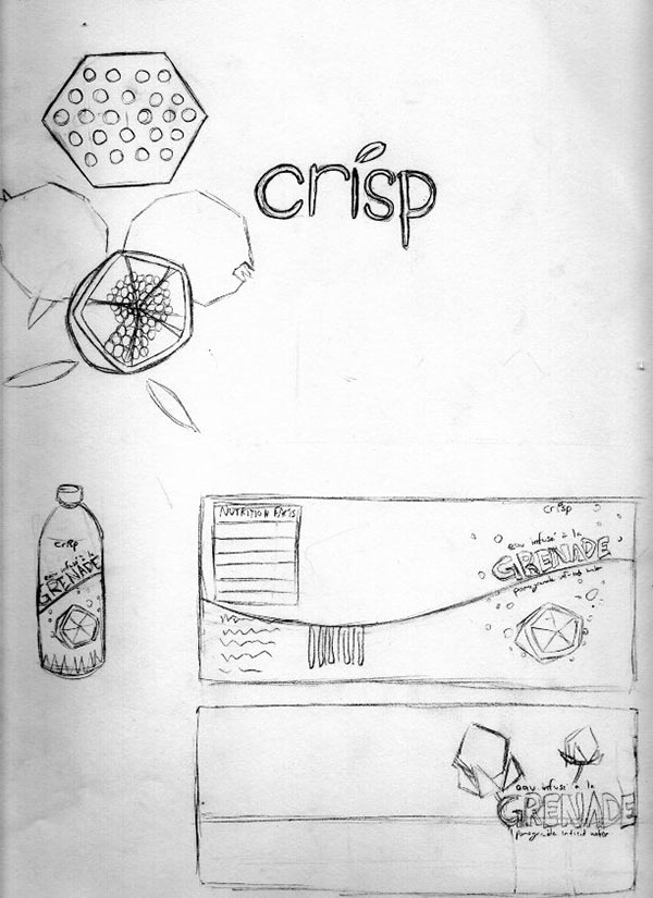 crisp concept sketch 2