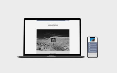 Responsive portfolio newsletter