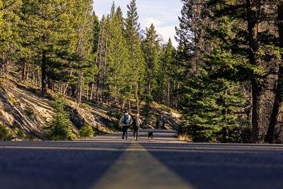 A couple walking at banff National Park