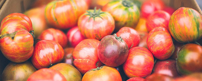 an aray of fresh tomatoes