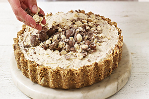 malted milk and caramel ice cream pie