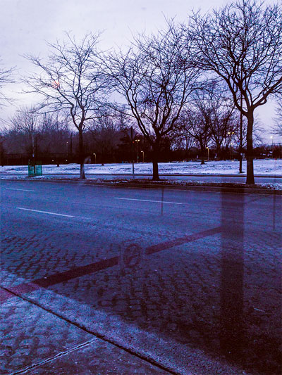 This picture of bare trees in winter outside a bus stop uses the hdr technique