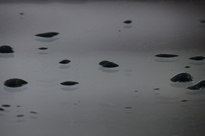 A photo of raindrops before retouching