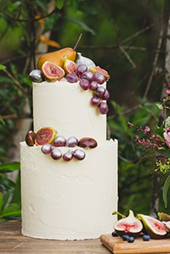 Two-Tier Butter Cream winter fruit Cake