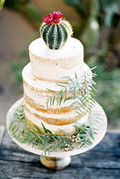 Two-Tier Vanilla with Cactus topper