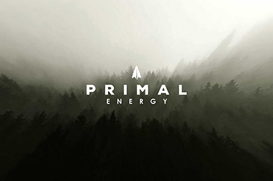 Packaging thumbnail for Primal Energy with their logo displayed over misty forest