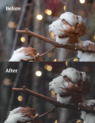 before and after edits of cotton