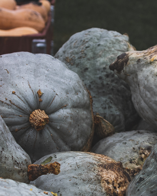 grey gourds in the rain at Mac Market