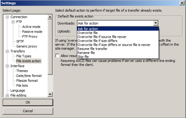 Screenshot of the FileZilla default action preferences.